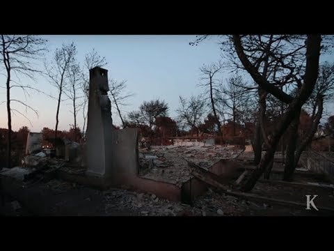 目に映る悲劇: 隠蔽文書 |ザ・デイリー