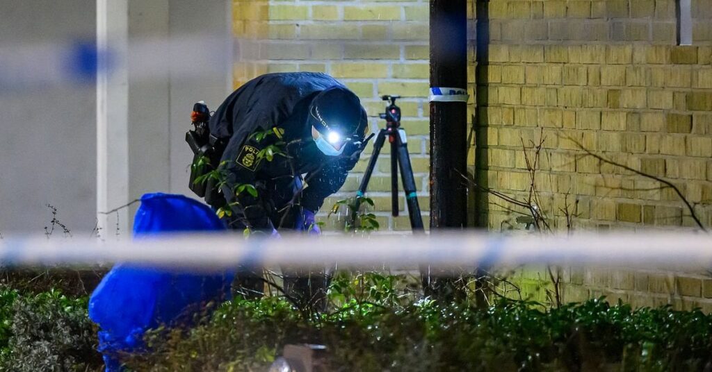 検察官「マルメのローゼンゴールでの銃撃死は故意ではなかった」