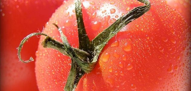 17世紀に住んでいたドラムコンドラの住民