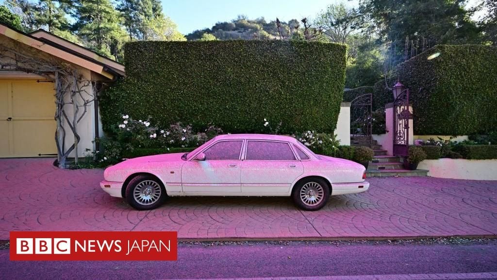 ロサンゼルス山火事、原因は？ 上空からまかれているピンクの物質は何？