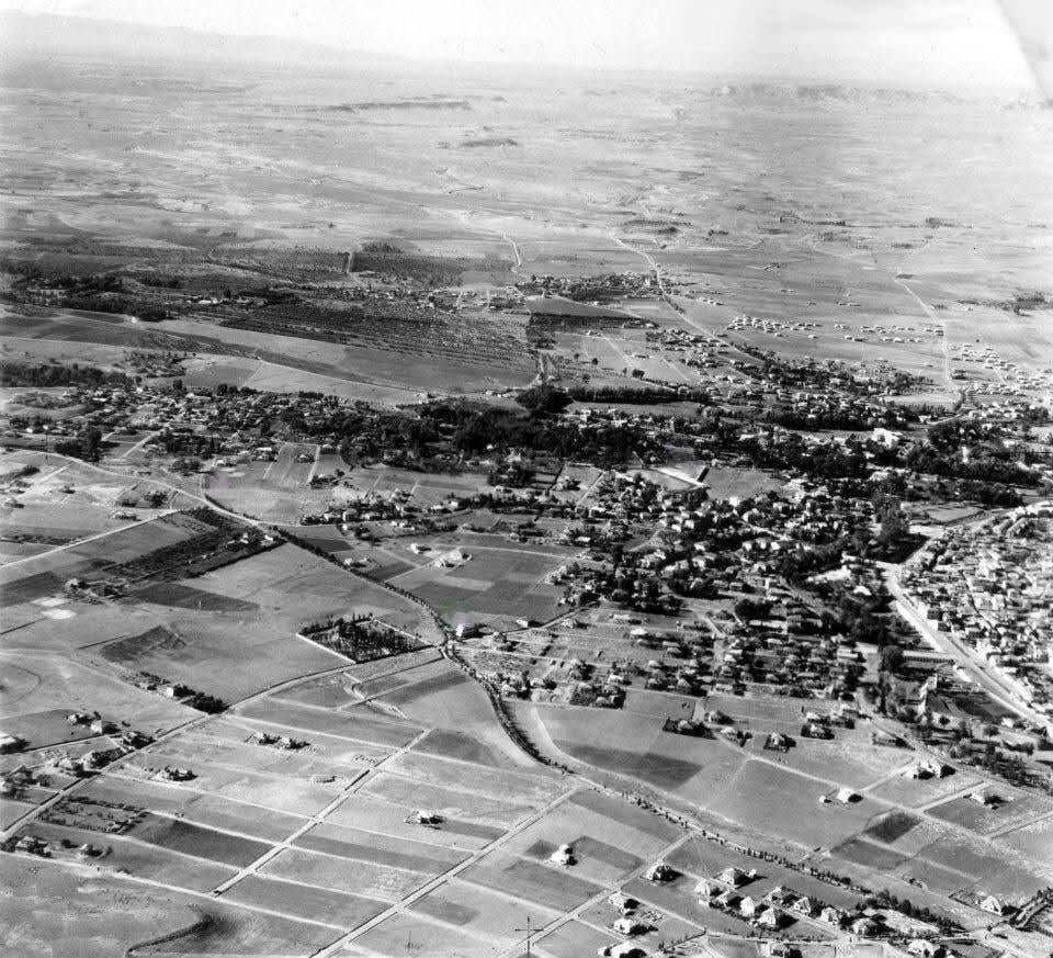 ニコシア 1941