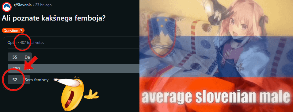 最新の調査によると、r/slovenia のユーザーの 10 人に 1 人以上がフェムボーイです。