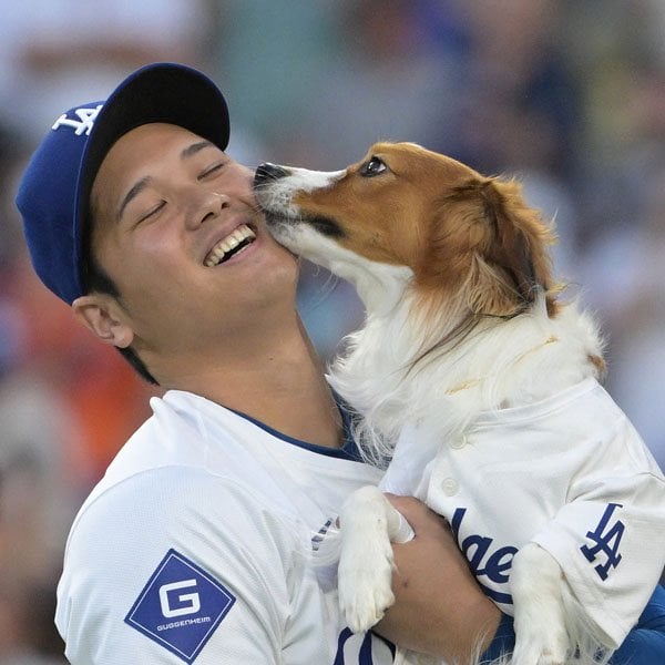 美辞麗句まみれの大谷報道に覚える“しんみり感”…作家が疑問視「テレビ局は大谷批判NG？」