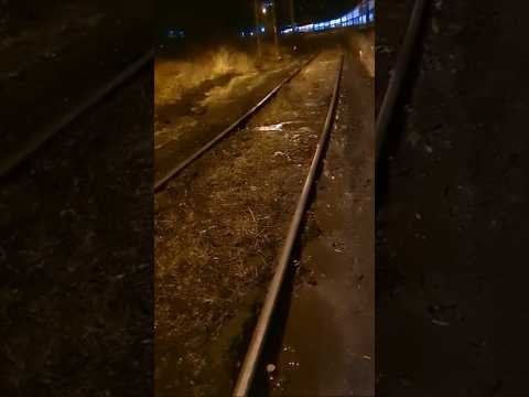 ブルガリアの鉄道インフラに関する厳しい真実...