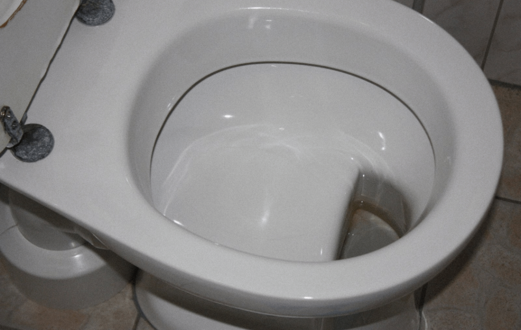 これがドイツの家庭によくあるトイレだという投稿をツイッターで見かけた。これが本当だとしたら、その背景は何でしょうか？