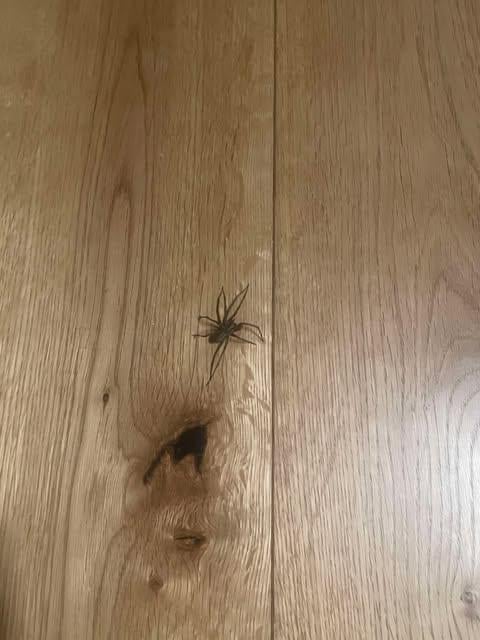 誰だ？