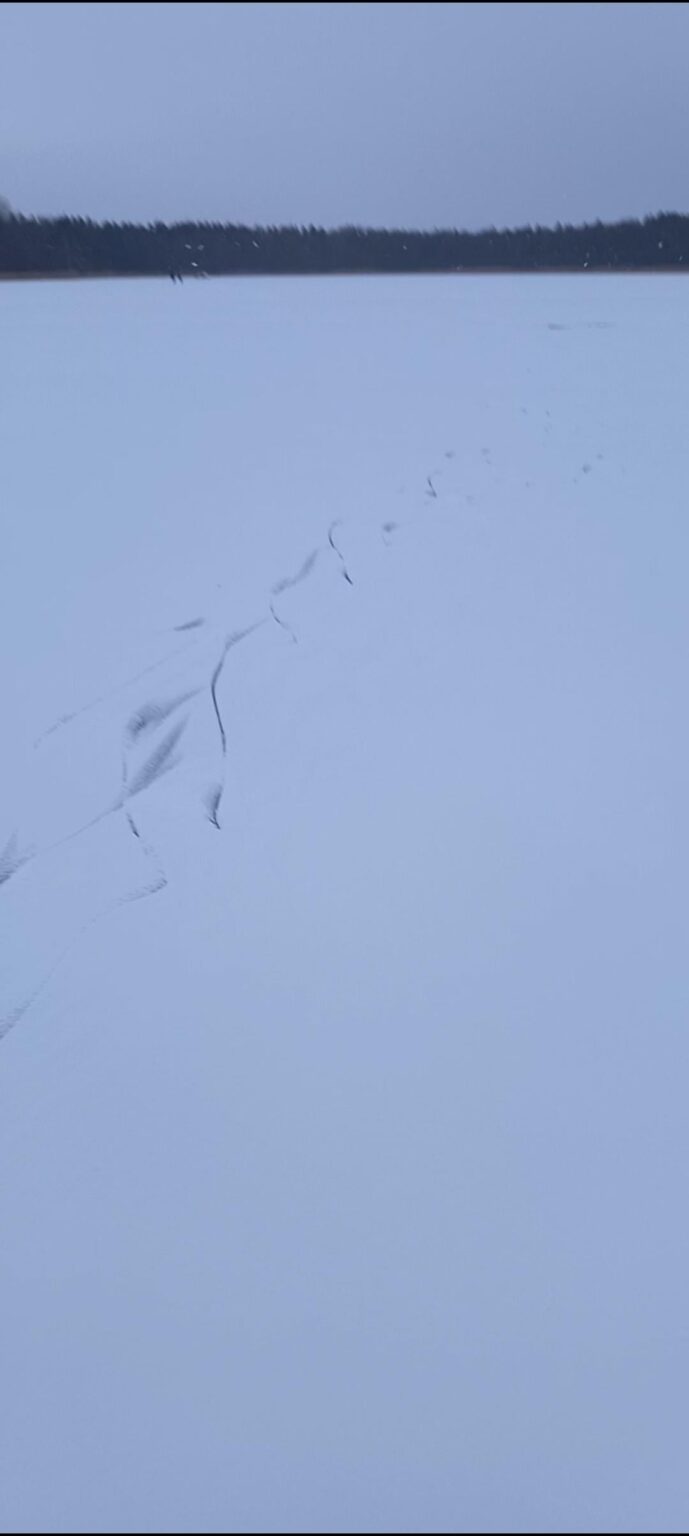 凍った湖でアイススケートをしたり、氷上で釣りをしたり。