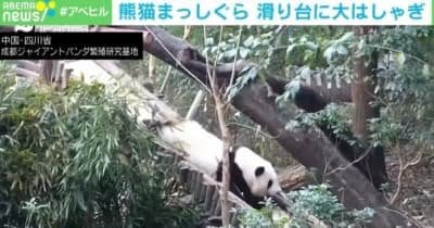 パンダって“頭から行く”んだ…