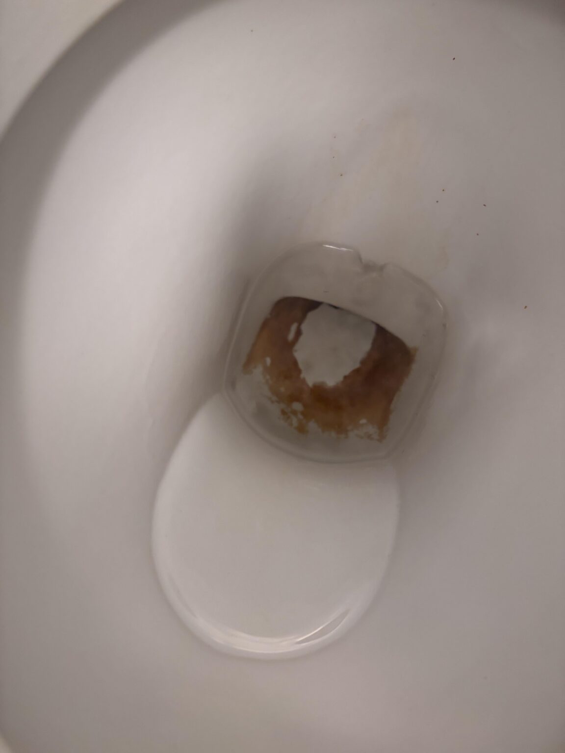 トイレの頑固な汚れを取り除くトイレクリーナーはどれですか