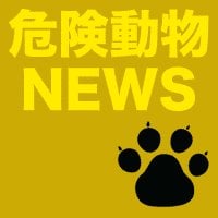 川崎市中原区井田３丁目でサル出没　１月８日朝