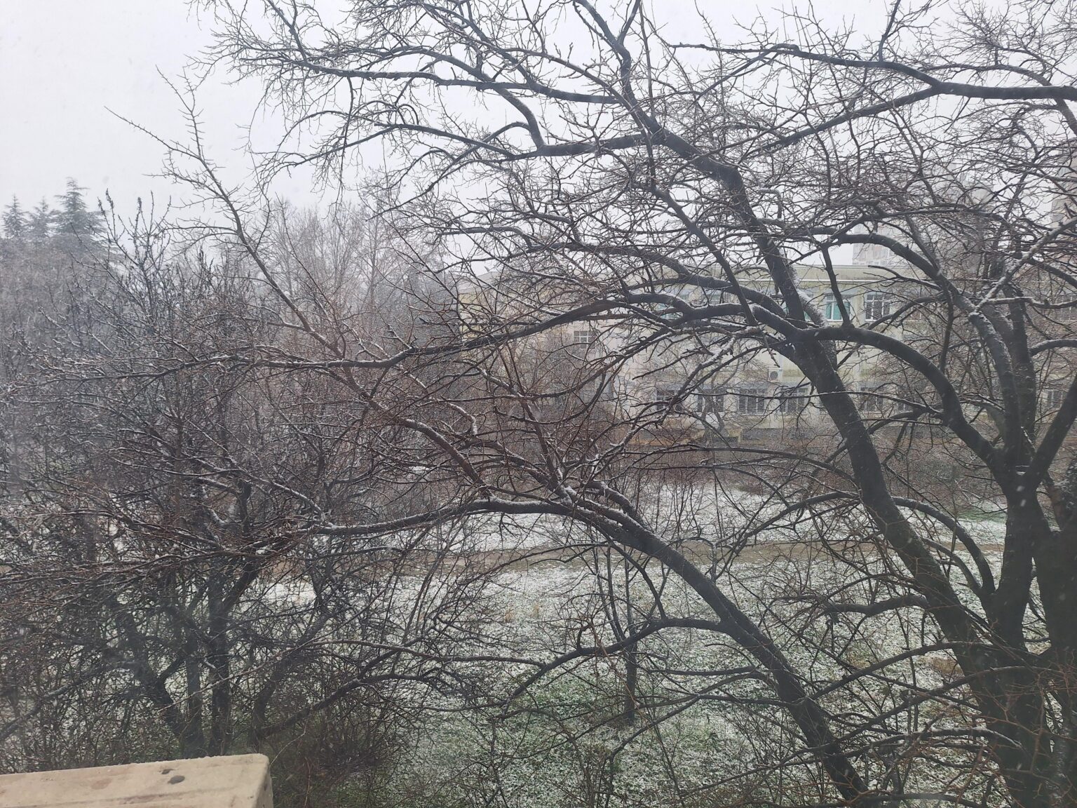 雪！！！
