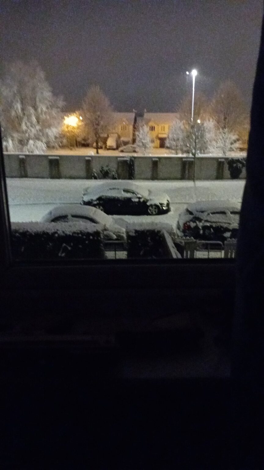 こんなにたくさんの雪は何年も見たことがありません。