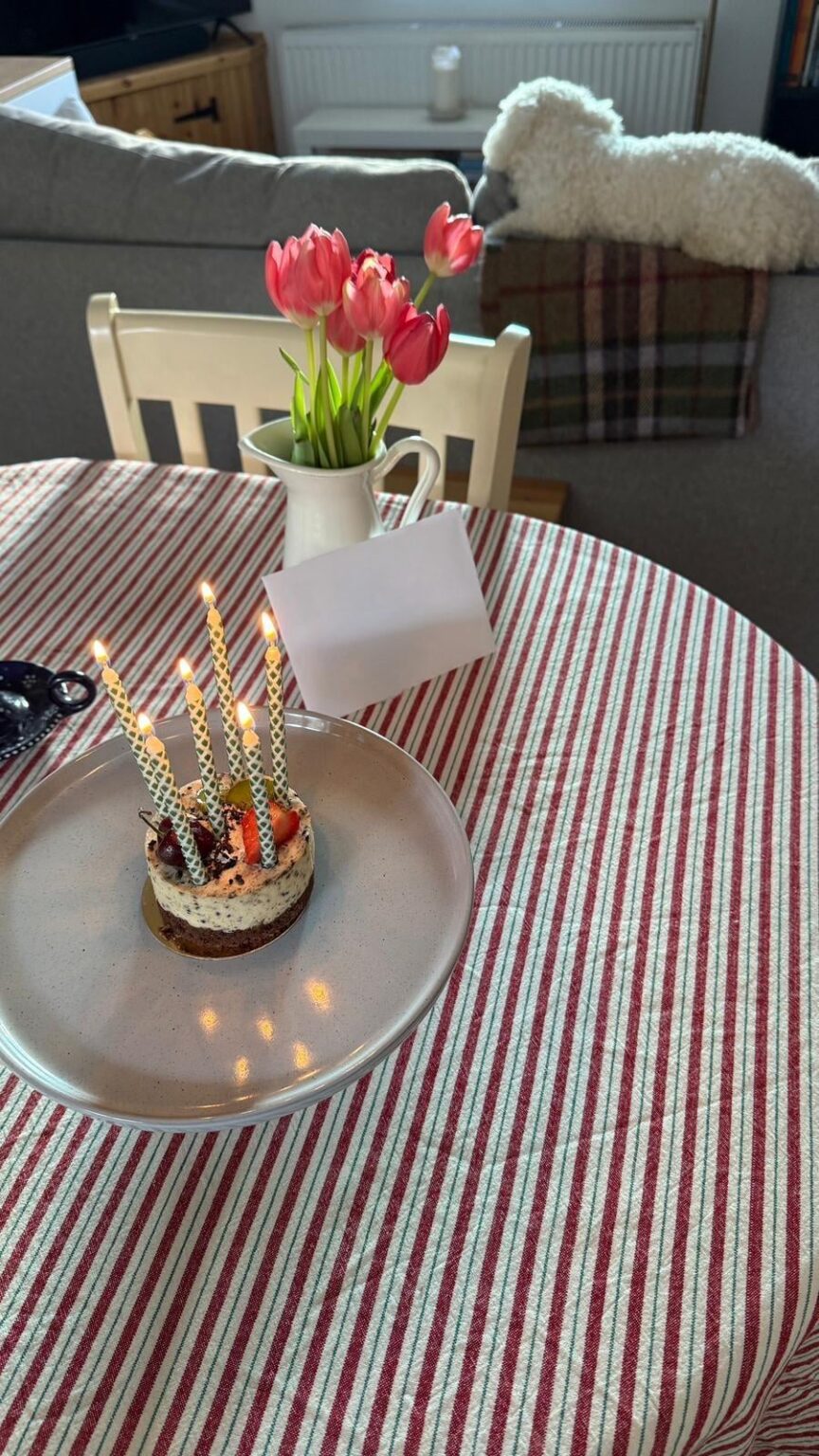 これらを吹き飛ばすのに嵐は必要ありません🎂 今朝で10年間断酒しました