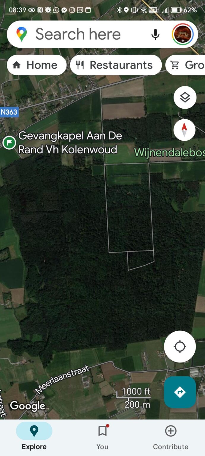 フランドル最大の森林地帯の 1 つ: Wijnendaelebos Torhout。立ち入り禁止のようですが…柵の向こうには守る価値のあるものは何でしょうか？