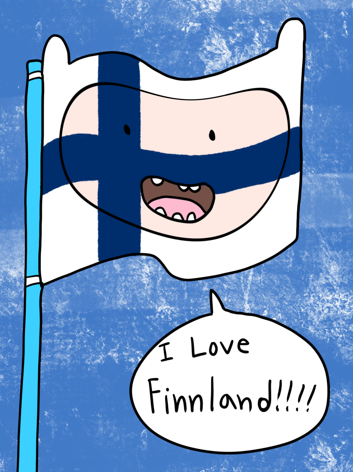 フィンランド🇫🇮