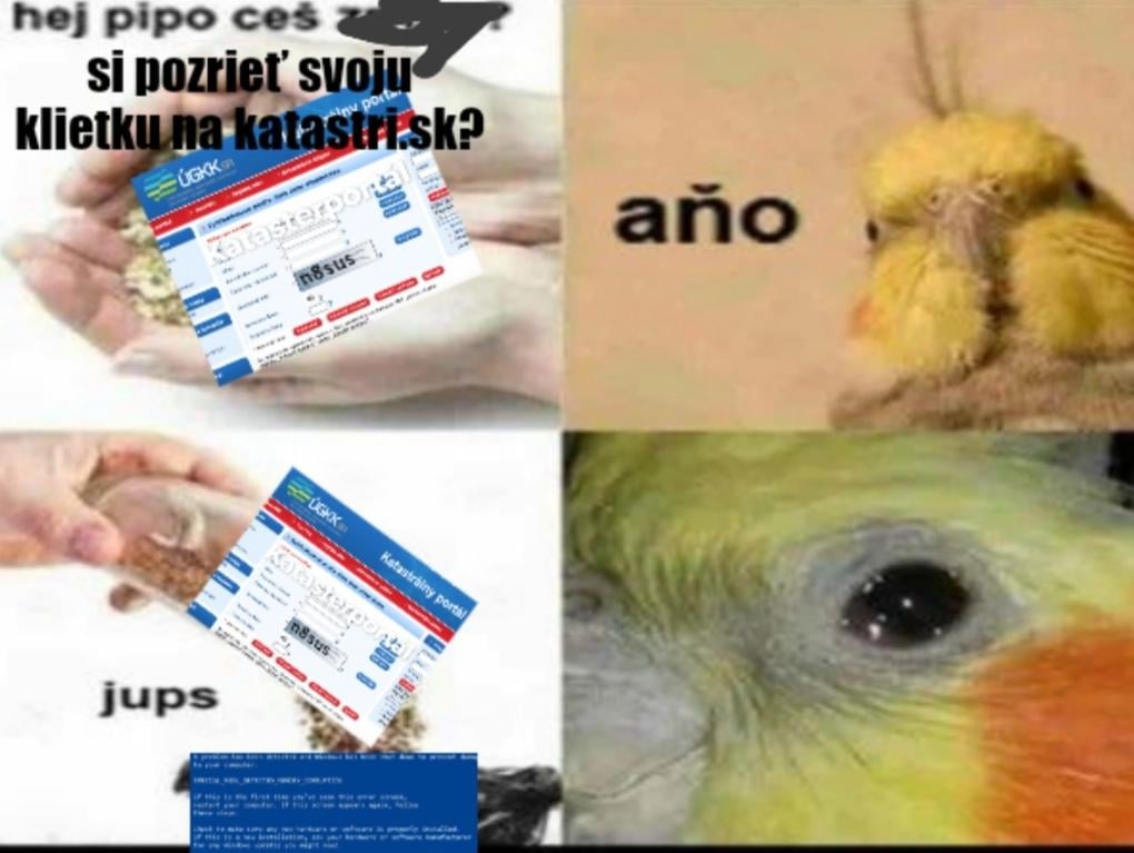 インコのミーム