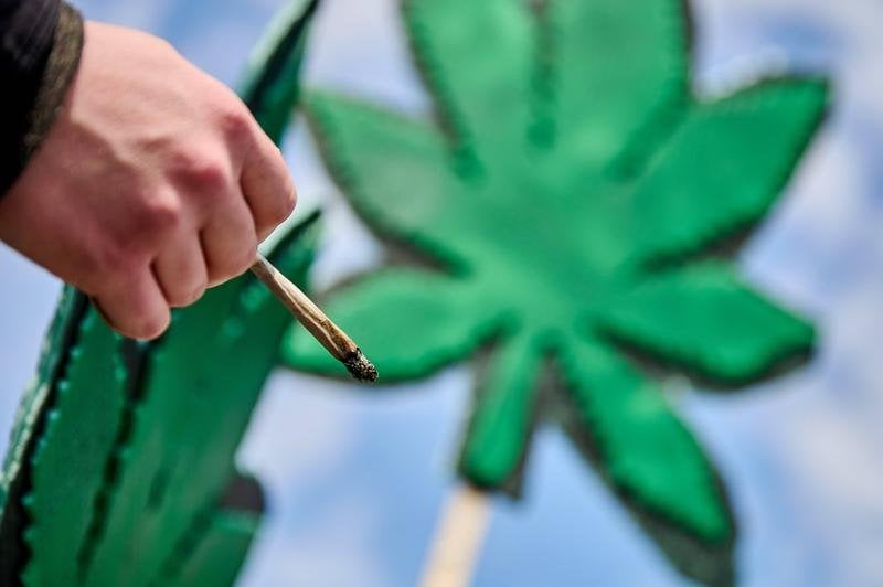 薬用大麻の合法化は、議会の保健委員会で拒否されました。 「私たちは、患者の苦しみを危険な物質の口実として使用する余裕はありません。」