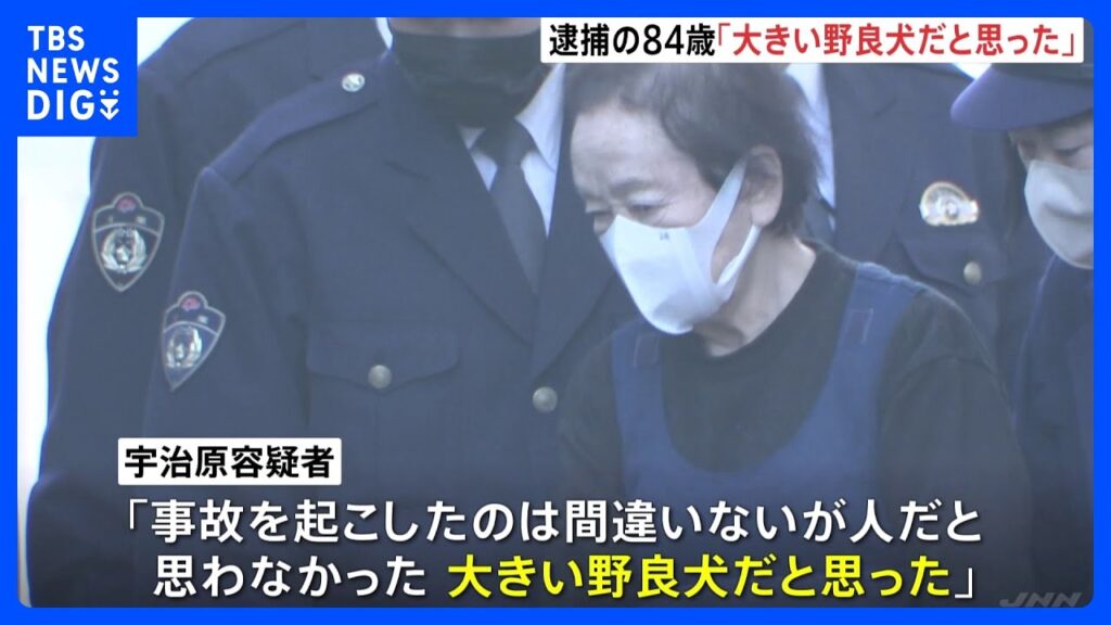 死亡ひき逃げ事件で逮捕の84歳「大きい野良犬だと思った」と容疑を一部否認　千葉・南房総市｜TBS NEWS DIG