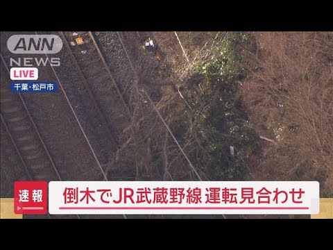【速報】倒木でJR武蔵野線　運転見合わせ【スーパーJチャンネル】(2025年2月11日)