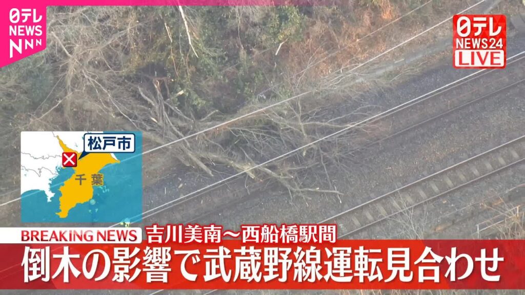 【速報】JR武蔵野線  吉川美南～西船橋で運転見合わせ  倒木の影響  運転再開の見込み立たず