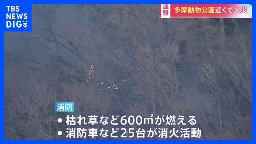 【速報】東京・日野市の多摩動物公園の近くで枯れ草火災　多摩動物公園「園内に火が燃え広がった際に備え職員が待機」｜TBS NEWS DIG