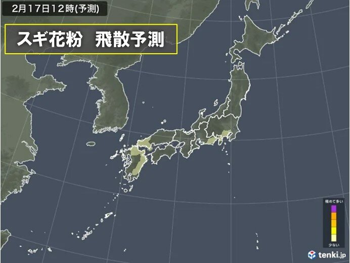 17日の花粉飛散量　九州から東北で「少ない」　24日以降に増加か　ピーク近づく