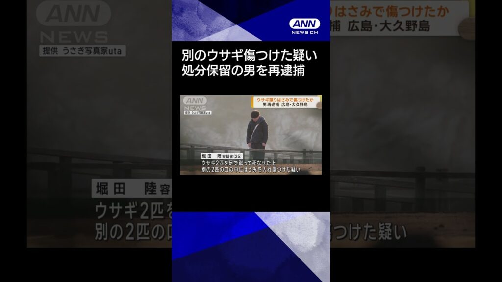 【ニュース】ウサギを蹴りはさみで傷つけたか 男を再逮捕 広島#shorts 【ニュース】ウサギを蹴りはさみで傷つけたか 男を再逮捕 広島#shorts