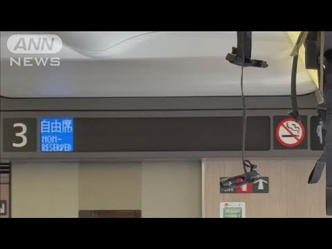 【速報】東北新幹線が全線で運転再開　パンタグラフ損傷で一時運転見合わせ　JR東日本(2025年2月19日)