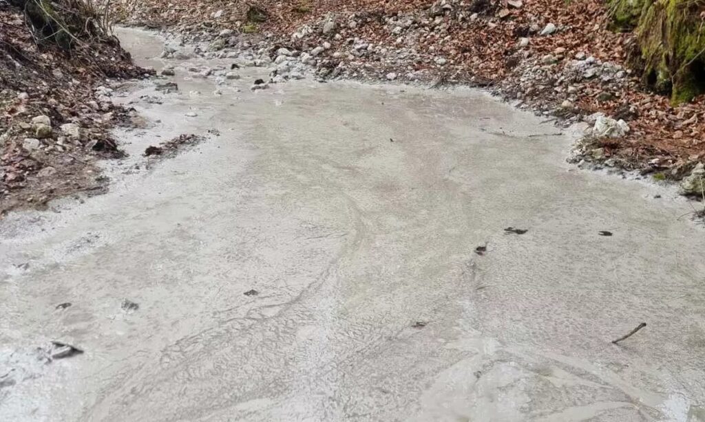 水の保護エリアでの事件を鋭く非難した