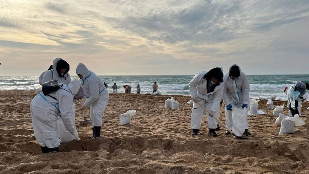 オイルタンカーのcrash落に対するロシアの「ぞっとする」反応は、黒海で「生態学的大惨事」を引き起こしました