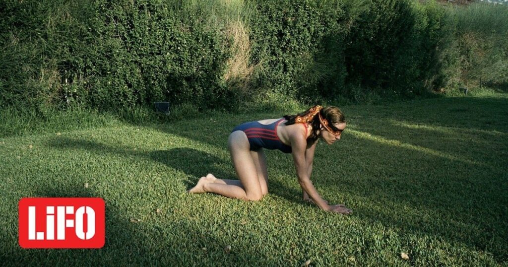 犬はどのように変わりましたか