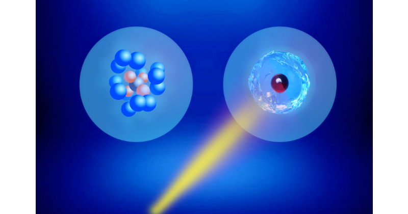 水素分子の超流動の確認に成功 | 理化学研究所