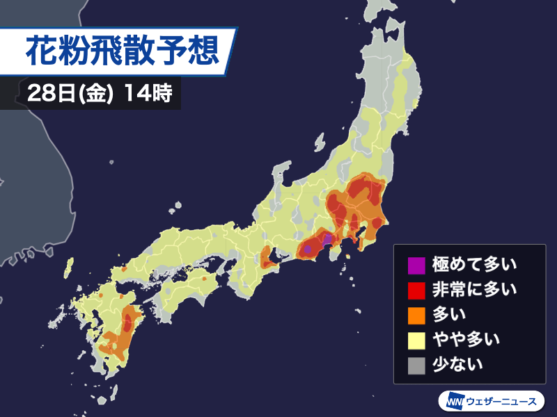 晴天の関東などでスギ花粉が多く飛散　今週末は大量飛散のおそれ - ウェザーニュース