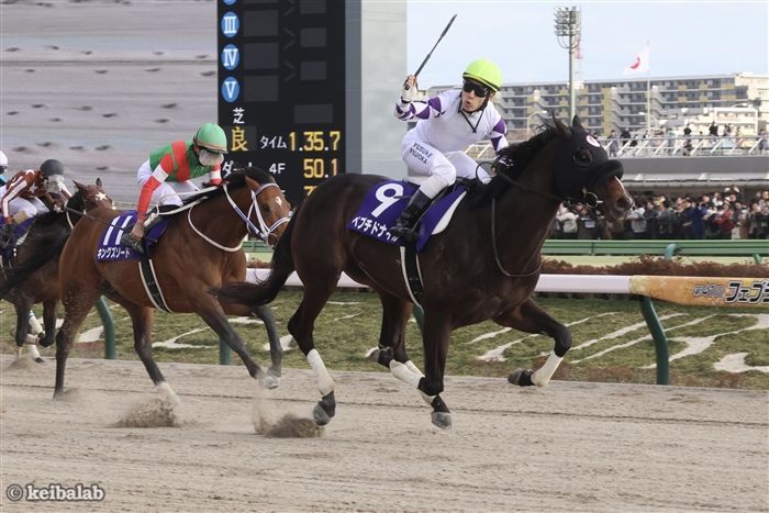 【フェブラリーS】出走馬格付けバトル!2部門で「勝率100%」に輝いた勝ち切りホースとは – 競馬ラボ 【フェブラリーS】出走馬格付けバトル!2部門で「勝率100%」に輝いた勝ち切りホースとは - 競馬ラボ