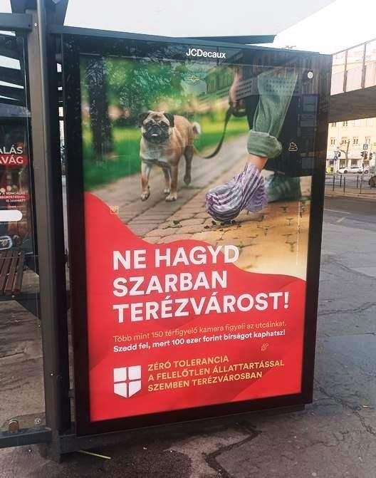 はるかに多くの犬がこれを考慮する必要があります