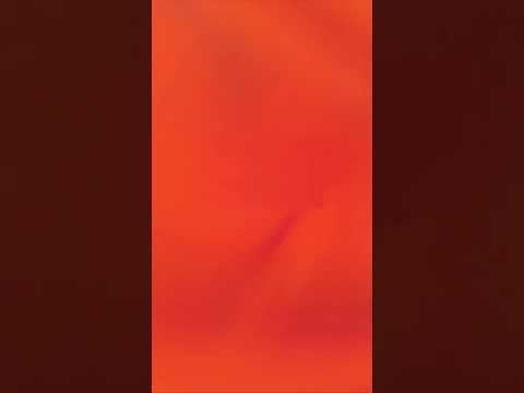 あなたがベッドに横たわっていると想像してみてください - それに *これ *が起こる…