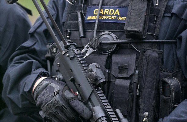 バリームンでの強盗中にナイフを振り回した疑いのあるガルダイ逮捕男