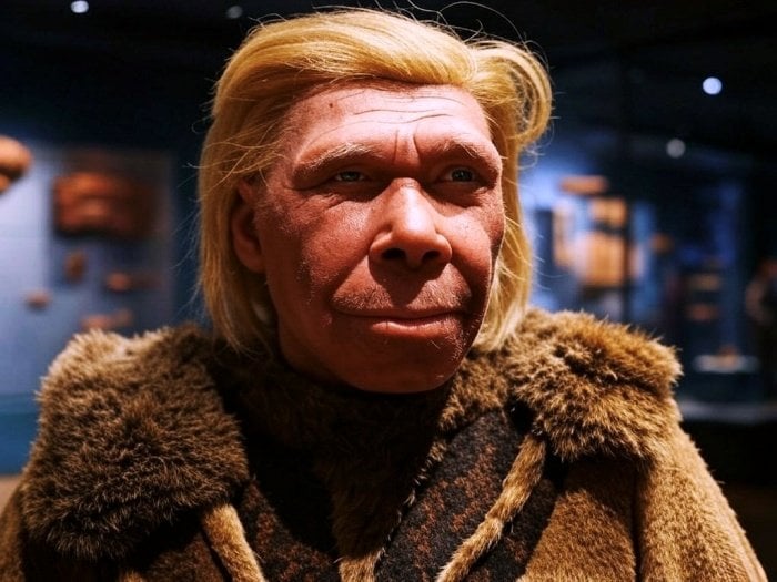 【虚構】トランプ♠️大統領、ホモ・サピエンス（新人）のみを生物学的な人類と認める大統領令に署名。旧人のネアンデルタール人に関する研究への資金援助を打ち切るほか、ネアンデルタール人を政府職員として採用しないよう命じる