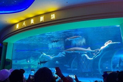 水族館のマーメイドショーでパフォーマーが巨大な魚に襲われるー中国