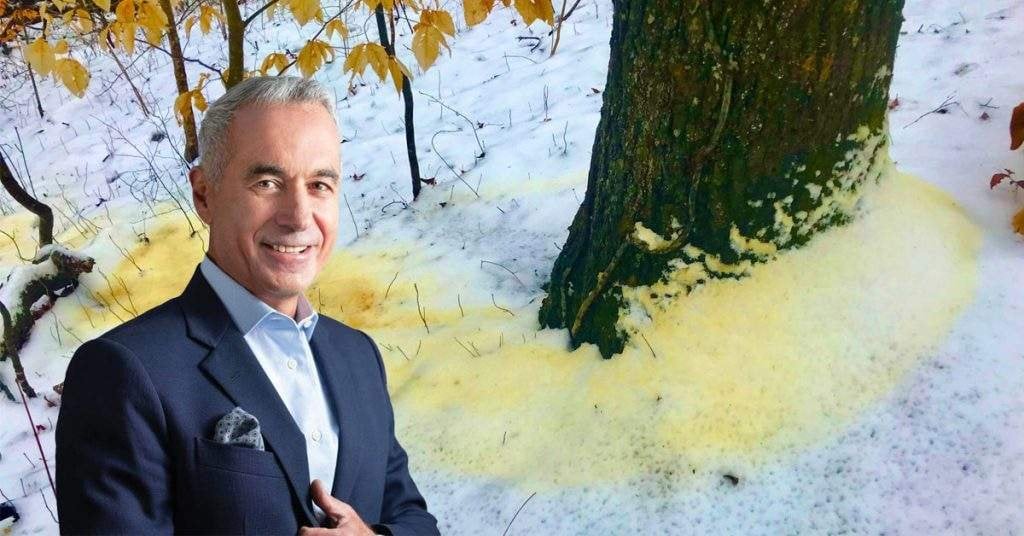 Georgescuは、Daciansが黄色い雪から抽出された単皮質の金を抽出したと言います