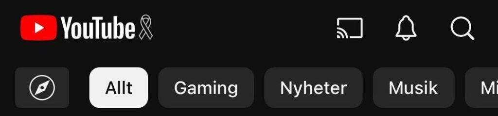 GoogleとYouTubeはÖREBROでの銃撃で犠牲者を称えます