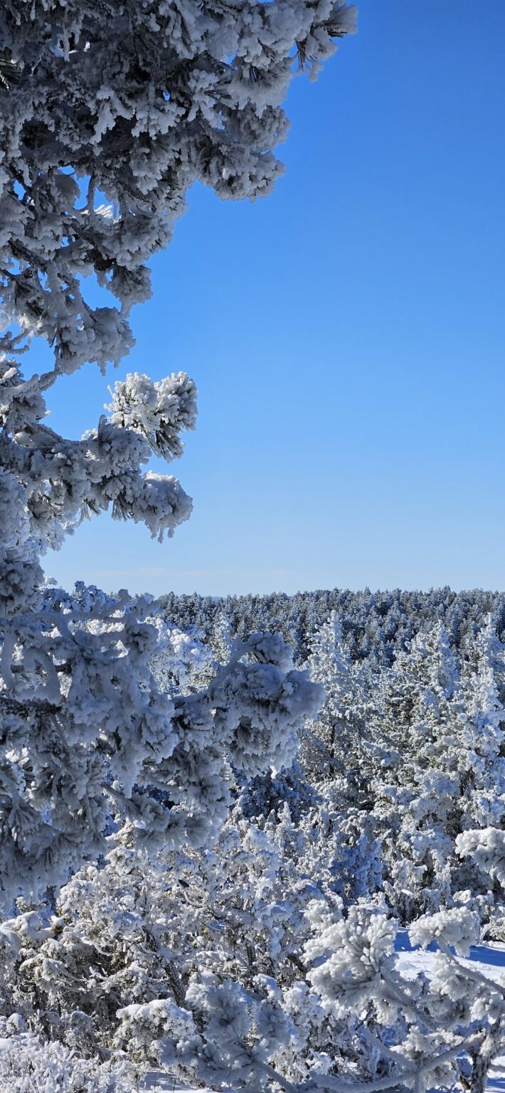 プエルト・デ・バルデリナレスの雪、2025年2月