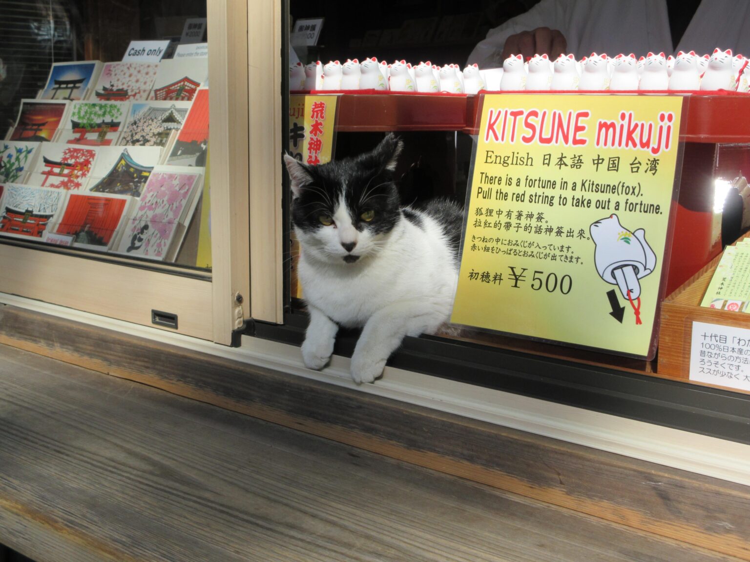 にゃーんちゃん