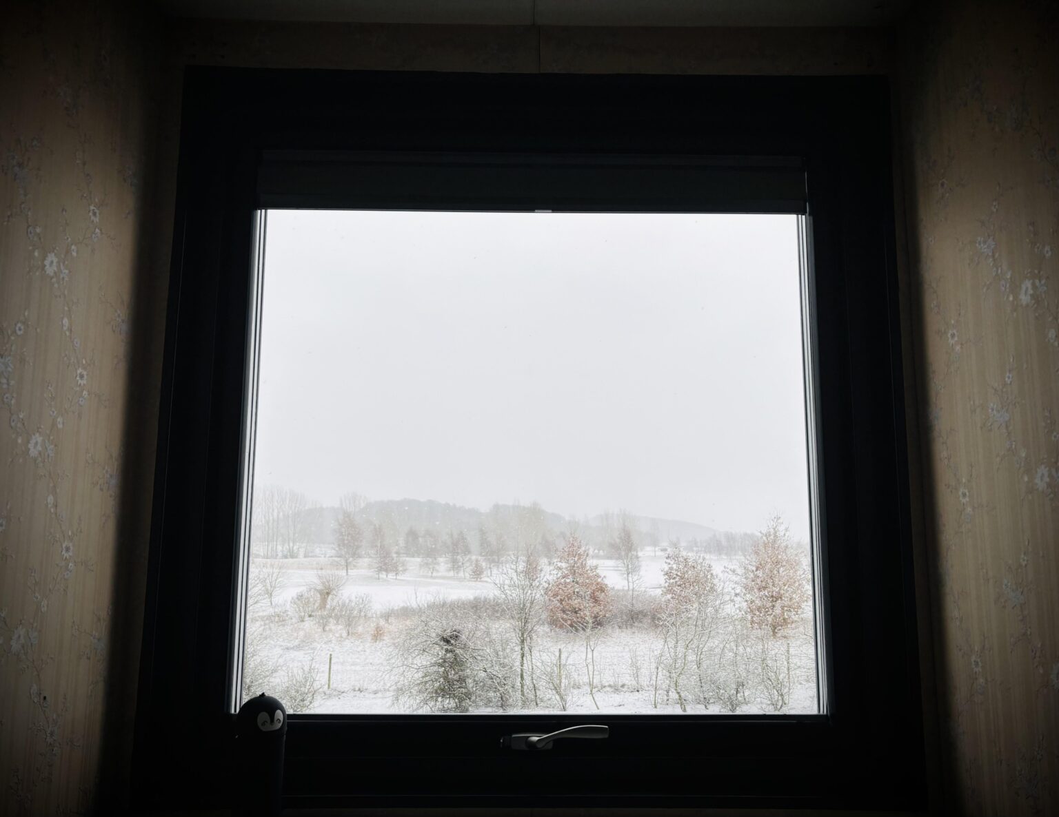 スカネの雪