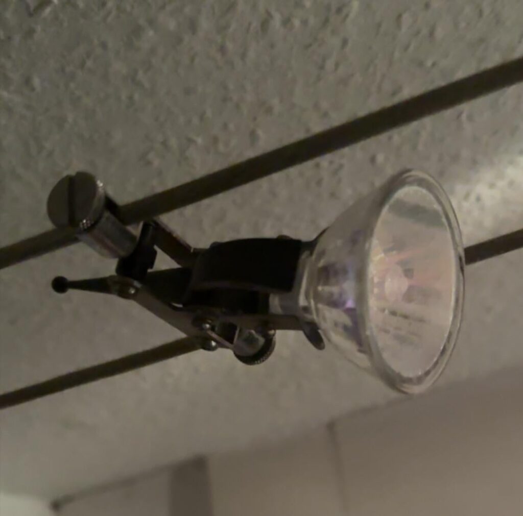 これはどのような種類の電球ですか、新しい電球はどこで購入できますか？