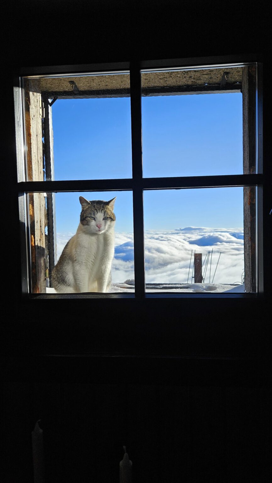 カライマンシャレーからの眺め
