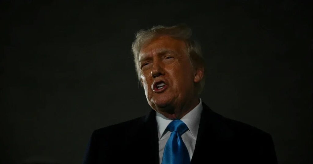 ドナルド・トランプは、欧州連合に対しても義務が導入されることを発表しました