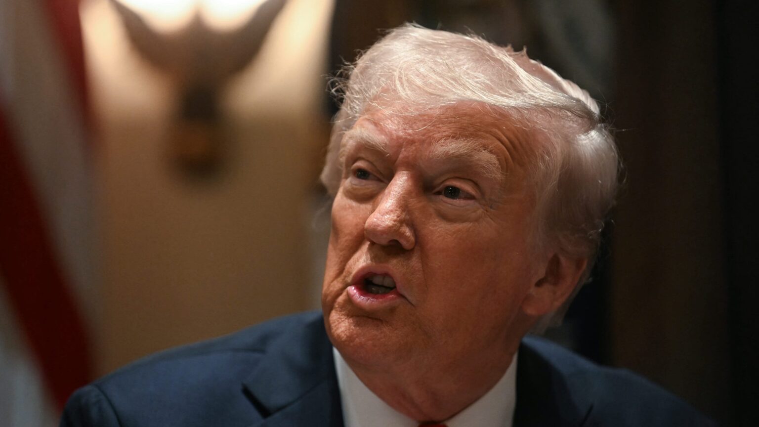 トランプ：「この国は肥大化し、太くて嫌なものになった」