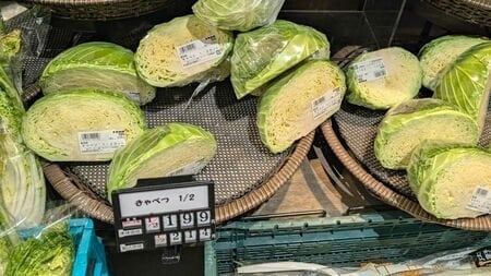 あまりに価格が高くなりすぎて日本人の「キャベツ離れ」が顕著に…食卓への登場率が落ちた・上がった野菜ランキング