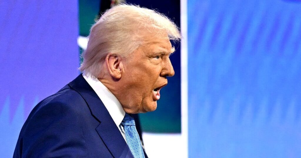 トランプは、イーロン・マスクが実際にdogeを走らせることを明らかにすることで合法的な混乱をキックオフします